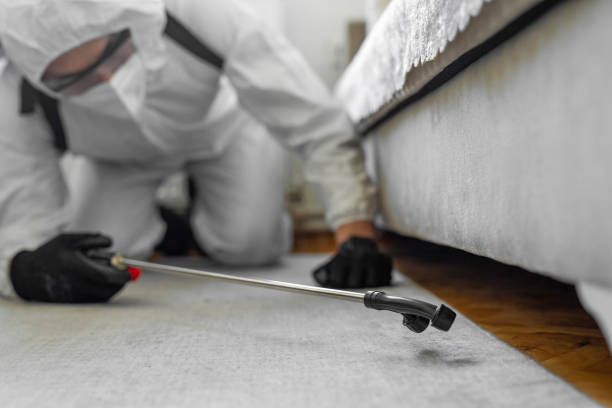 Professional Termite Control technician working in DeBary, FL