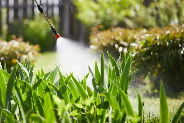 24/7 Emergency Termite Control experts in DeBary, FL