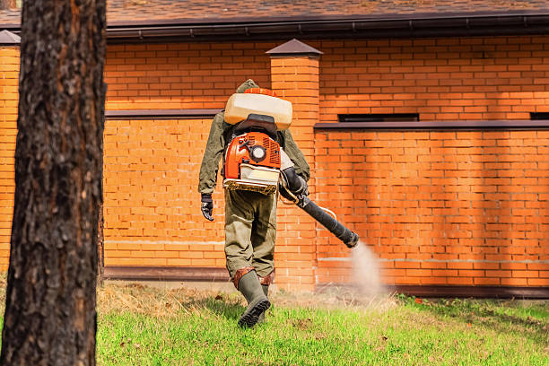 Top rated local Termite Control specialists in DeBary, FL